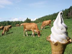 ラブリー牧場 みるく茶屋
