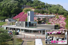 道の駅 西山公園